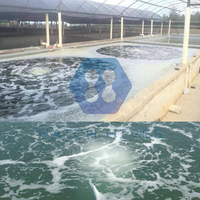Système d'aération pour étang d'élevage de crevettes en aquaculture avec diffuseur d'air à micro-nanobulles et souffleur d'oxygène
