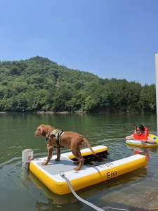 Escalones <span class=keywords><strong>para</strong></span> <span class=keywords><strong>perros</strong></span> de alta calidad, seguros y de fácil acceso, rampa <span class=keywords><strong>para</strong></span> <span class=keywords><strong>perros</strong></span>, muelle inflable plegable, rampa flotante, <span class=keywords><strong>escalera</strong></span> - Product Image 5