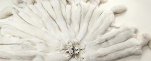 Peaux de renard arctique naturelles et authentiques pour écharpes, châles et vêtements d'extérieur écologiques pour femmes - Product Image 3