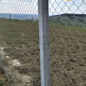 גדר רשת קישורים מגולוונת בגובה <span class=keywords><strong>6</strong></span> או 8 רגל, סיטונאי, טבילה חמה - Product Image 5