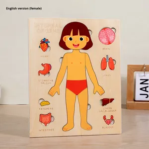 Jeu de puzzle 3D en bois sur la structure du corps humain pour l'éveil scientifique des enfants, jouet éducatif précoce sur l'anatomie des organes et la cognition squelettique - Product Image 6