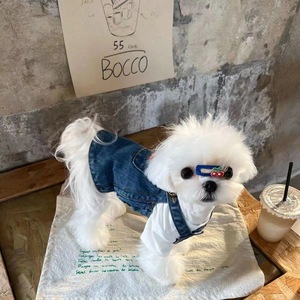 New denim skirt for dogs, cats, and <b>teddy</b> <b>bears</b> - spring/summer <b>small</b> dog clothing. - Product Image 3