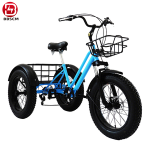 Bicicletta <span class=keywords><strong>Elettrica</strong></span> <span class=keywords><strong>Cargo</strong></span> da 20 Pollici, 36V 250W, a 2 Ruote, Non Pieghevole, per Consegna Cibo - Product Image 5