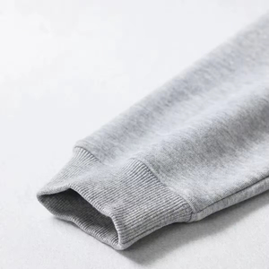 Automne décontracté 100% coton pull à capuche 450gsm Y2K sweats graphiques avec impression bouffante et Logo personnalisé pour hommes - Product Image 4