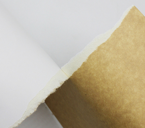 Cartón Blanco de Alta Calidad Enso <span class=keywords><strong>CKB</strong></span> de 250 g/m², Cartón de Embalaje de Pulpa Virgen de Grado Alimenticio - Product Image 3