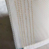 Voedselkwaliteit 100% Polyester Gaasband Voor Het Drogen Van Fruitgroente