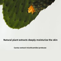 Masque de boue de cactus pour le soin du visage et l'hydratation, masque de boue semi-fini pour utilisation en salon de beauté