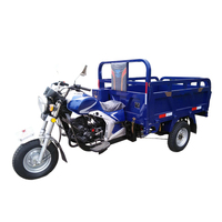 Moto à essence 150cc Tricycle cargo à trois roues Boîte de vitesses automatique Moto cargo