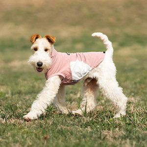 Canotta Estiva Rinfrescante a Collo Alto per Cani, in Tessuto Traspirante a Rete con Cerniera, Abbigliamento per Animali Domestici <span class=keywords><strong>di</strong></span> Taglia Media e <span class=keywords><strong>Piccola</strong></span> - Product Image 2