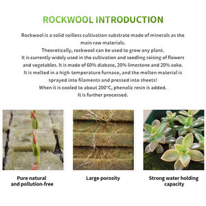 Hydroponische Rockwool blokken voor de teelt van tomaten, komkommers en sla - Product Image 5