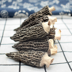 La scelta della cucina popolare Morels in vendita dura il fungo Morchella all'ingrosso di funghi neri commestibili lunghi - Product Image 4