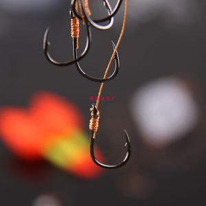 Ensemble de matériel de pêche Bosun Ise-ni 8 à 14 hameçons multiples pour la pêche à la carpe en eau douce, accessoires de pêche - Product Image 1