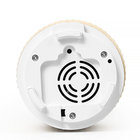 Diffuseur d'huile essentielle et petit humidificateur ultrasonique pour hôtel, produit aromatique, ODM OEM, à petit air h2o, résine pour hall d'entrée d'hôtel, 100ml