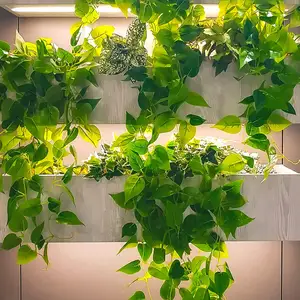 Zonder Pot Levensechte Rotan Kunstmatige Opknoping Planten Plastic Ivy Wijnstok Voor Wall House Indoor Outdoor Decoratie