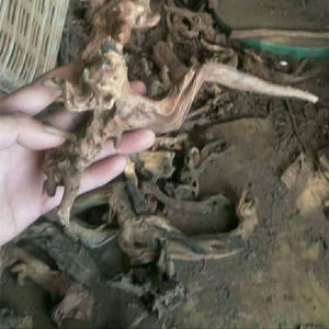 고품질 물고기 탱크 장식 천연 나무 자연 수족관 드리프트 나무 - Product Image 5