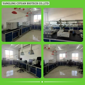 ผงสารสกัดจากใบสนคุณภาพสูง สกัดด้วยตัวทำละลาย ผลิตภัณฑ์เสริมอาหารสมุนไพร บรรจุในถัง - Product Image 4