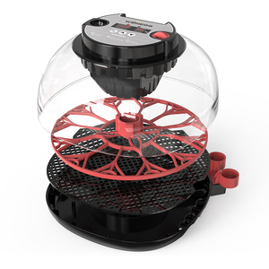 Incubadora Automática Multifuncional de Alta Productividad para Pollos, Pavos y Patos, con Capacidad para 12 Huevos - Product Image 3