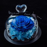 Rose éternelle rose sous cloche en verre avec boîte cadeau LED