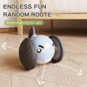 Giocattoli Interattivi per Cani e Gatti con Ricarica USB Automatica, Personalizzabili, Durevoli ed Ecologici - Product Image 4
