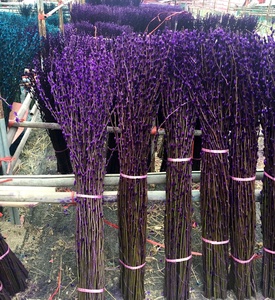 Pussy willow - Product Image 6