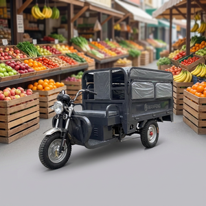 Triciclo Eléctrico WANFENG de Doble Uso para Pasajeros y Carga, Triciclo Eléctrico de Alta Resistencia de 3 Ruedas para Transporte de Carga y Desplazamientos - Product Image 6