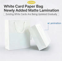 Sacs en papier kraft blanc et brun personnalisés avec impression, poignées en ruban laminé pour vêtements, chaussures, cadeaux, chaussettes et emballage de fourrures