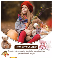 Jouets en peluche ours en peluche 20s à montage personnalisé par un fabricant expérimenté avec haut-parleur numérique à bouton-poussoir Module de musique enregistrable