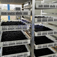 Machine de séchage de fruits de raisins la moins chère Machine de déshydratation de raisins Machine de séchage de raisins secs de raisin