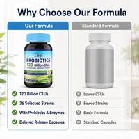 Complément Probiotique Nutraceutique Shecome : Soutien du Fabricant pour Maintenir la Santé du Tractus Gastro-intestinal – 100 Capsules Probiotiques