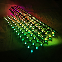 Rideau en maille LED, toile de fond et éclairage de visage, installation pour maison, fête dans l'arrière-cour
