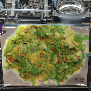 Flocons de nourriture pour poissons riches en protéines et en légumes de haute qualité de Chine, pour la santé de la peau des reptiles, toutes les étapes de vie, 3 ans - Product Image 6