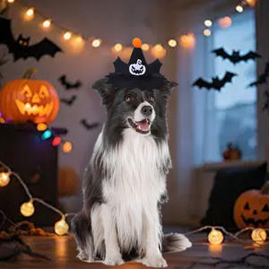 Atacado Ajustável <span class=keywords><strong>Black</strong></span> Cat Cap <span class=keywords><strong>Hat</strong></span> Cap Inverno Cap Festival Acessório Decoração Do Partido Cão gato Halloween Abóbora Preto Pet <span class=keywords><strong>Hat</strong></span> - Product Image 5
