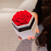 Nouvelles Idées de Produits Rosas Éternelles Cadeau Personnalisé Naturel Éternel Flor le Million de Fleurs Immortelles Boîte de Roses Préservées