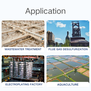 Hydroxyde de magnésium de qualité industrielle (98-99%) pour le traitement des eaux usées, poudre floculante pour le traitement des eaux usées industrielles - Product Image 6