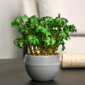 Yihua - Planta Artificial Decorativa, Pequeña, de 12 cm, Flor de Seda, Estilo Minimalista Nórdico, Planta en Maceta para Decoración del Hogar - Product Image 4