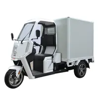Electric Cargo Tricycle with Closed Cabin, 3 Wheel