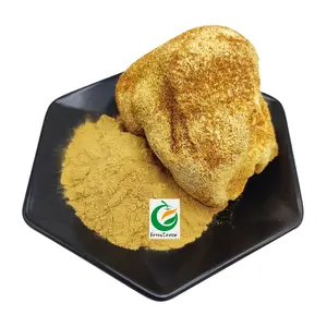 Organic Hericium Erinaceus Extract Powder Lions Mane Mushroom Extract