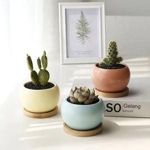 קישוט nordic פרח סיר קישוט להביא פרחים מלאכותיים פרחים קטנים קרמיים עציצים קרמיים - Product Image 3