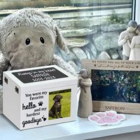 Urna Ecológica de Madera Sólida para Mascotas, con Marco para Foto, Grabado Personalizado, Caja para Cenizas de Perros y Gatos, Recuerdo Conmemorativo Sellado