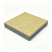 Briques de pavé en béton poreux pour usage extérieur, type briques réfractaires 600*300*50, mortier autolissant à base de ciment épais