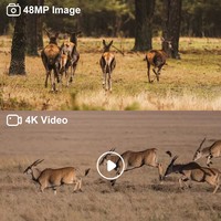 Caméra de surveillance de la faune avec angle de vue de 120 degrés, 48MP, 4K, connexion WiFi à 85 pieds, contrôle par application, diffusion en direct