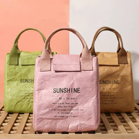 Sac isotherme Tyvek personnalisé multi-usages pour pique-nique, écologique, réutilisable, imperméable, pour le bureau, pour femmes et hommes