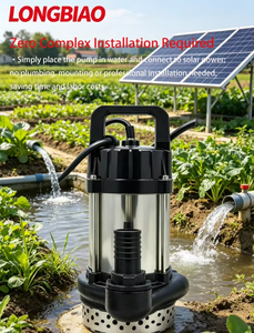 <span class=keywords><strong>Pompe</strong></span> à eau solaire flottante portable SPV 250W-1000W, auto-amorçante hors réseau pour le transfert d'eau de lac et l'arrosage de jardin - Product Image 4