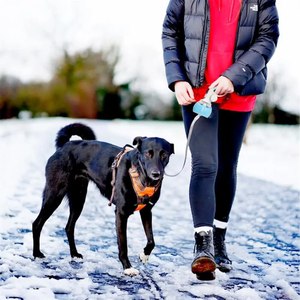 Pet köpek <span class=keywords><strong>Pooper</strong></span> <span class=keywords><strong>Scooper</strong></span> taşınabilir açık temizleyici çöp seçici Bag çanta koleksiyonu uygun temizlik araçları köpek Poop toplayıcı - Product Image 6