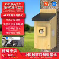 Caméra HD transfrontalière en bois de bambou pour nids d'oiseaux, best-seller d'usine, étanche, petite taille, maison d'incubation intelligente pour oiseaux