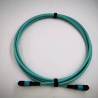 10G 100G MM OM3 OM4 OM5 MTP 48 Fibres 48 Core MPO Connecteur Trunk Cable Fiber Optic Patch Cord