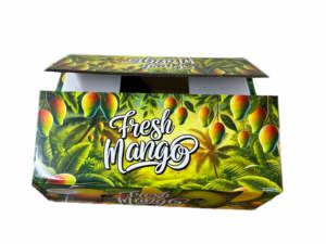 Vietnam Rectangle Carton Ondulé Client Logo CMJN Pantone Couleur Enduit Papier Mango Carton Boîte - Product Image 4