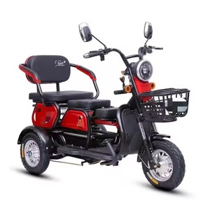 Tricycle électrique à batterie pour adultes à 3 places, 48V, véhicule de loisirs urbain, ouvert / Certificat EEC, vélo cargo - Product Image 2