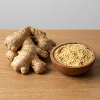 Poudre de gingembre séché de qualité supérieure, naturelle, de qualité alimentaire, mélange d'épices et d'herbes, qualité export en vrac