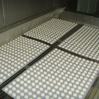 Congélateur rapide multifonctionnel universel pour conserver les raviolis, les crevettes, le bœuf, la pâtisserie et toutes sortes de plats préparés